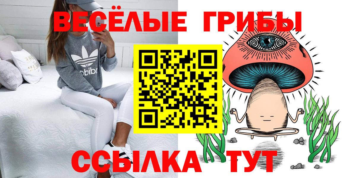 Псилоцибиновые грибы прущие грибы  Вход с VPN  Полысаево 