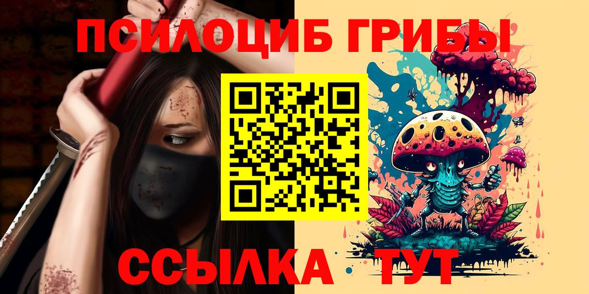 Псилоцибиновые грибы мицелий Полысаево